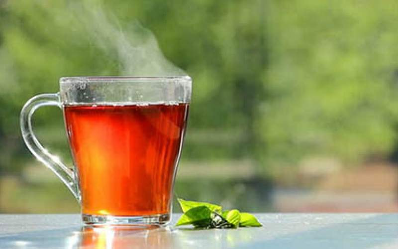 تصویر 2 از خرید و قیمت چای شکسته بهاره نوشینه + فروش عمده